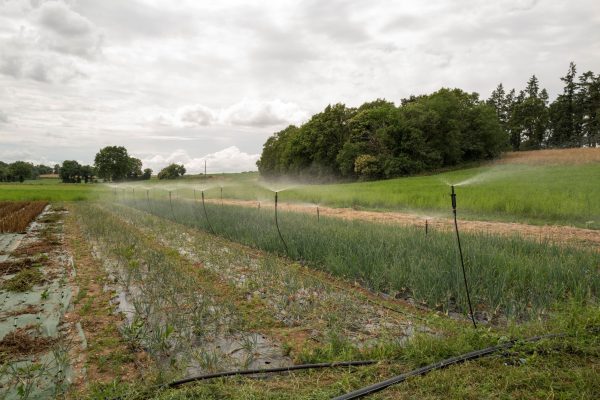 Loi d'Urgence Agricole : quels leviers reste-t-il aux territoires pour protéger la ressource en eau et soutenir la bio ?